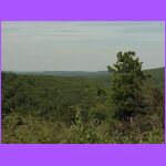 Along The Road.jpg